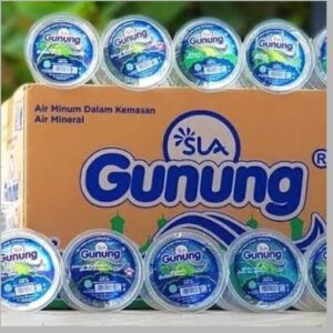 Air Mineral Gunung 1 Dus
